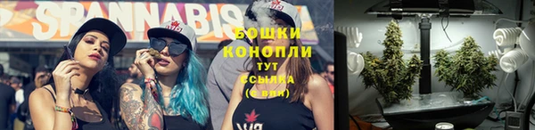 ПСИЛОЦИБИНОВЫЕ ГРИБЫ Михайлов