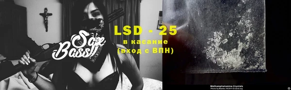 ПСИЛОЦИБИНОВЫЕ ГРИБЫ Михайлов