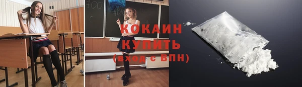 ПСИЛОЦИБИНОВЫЕ ГРИБЫ Михайлов
