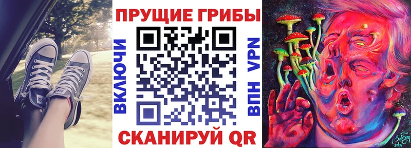 Купить Улан-Удэ Галлюциногенные грибы Cubensis